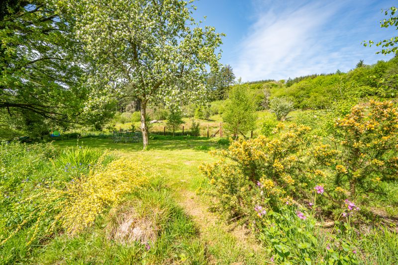 Garden- click for photo gallery